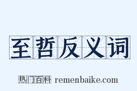 至哲反义词是什么意思的图片